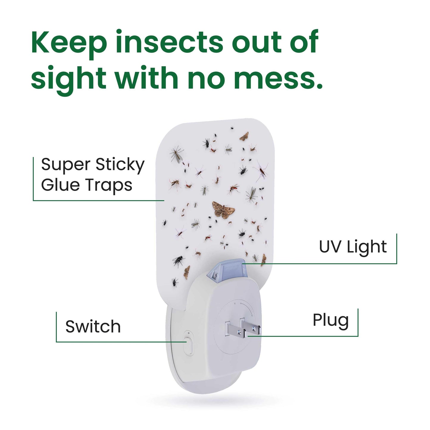 Aspectek Trap Sticky Insect Flying Insects Indoor Blue UV Light 12 Packs Glu Sticky Fly Catcher Night Home White Pack of 2 (EU)