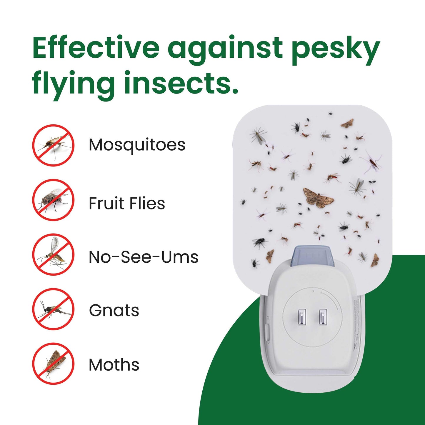 Aspectek Trap Sticky Insect Flying Insects Indoor Blue UV Light 12 Packs Glu Sticky Fly Catcher Night Home White Pack of 2 (EU)