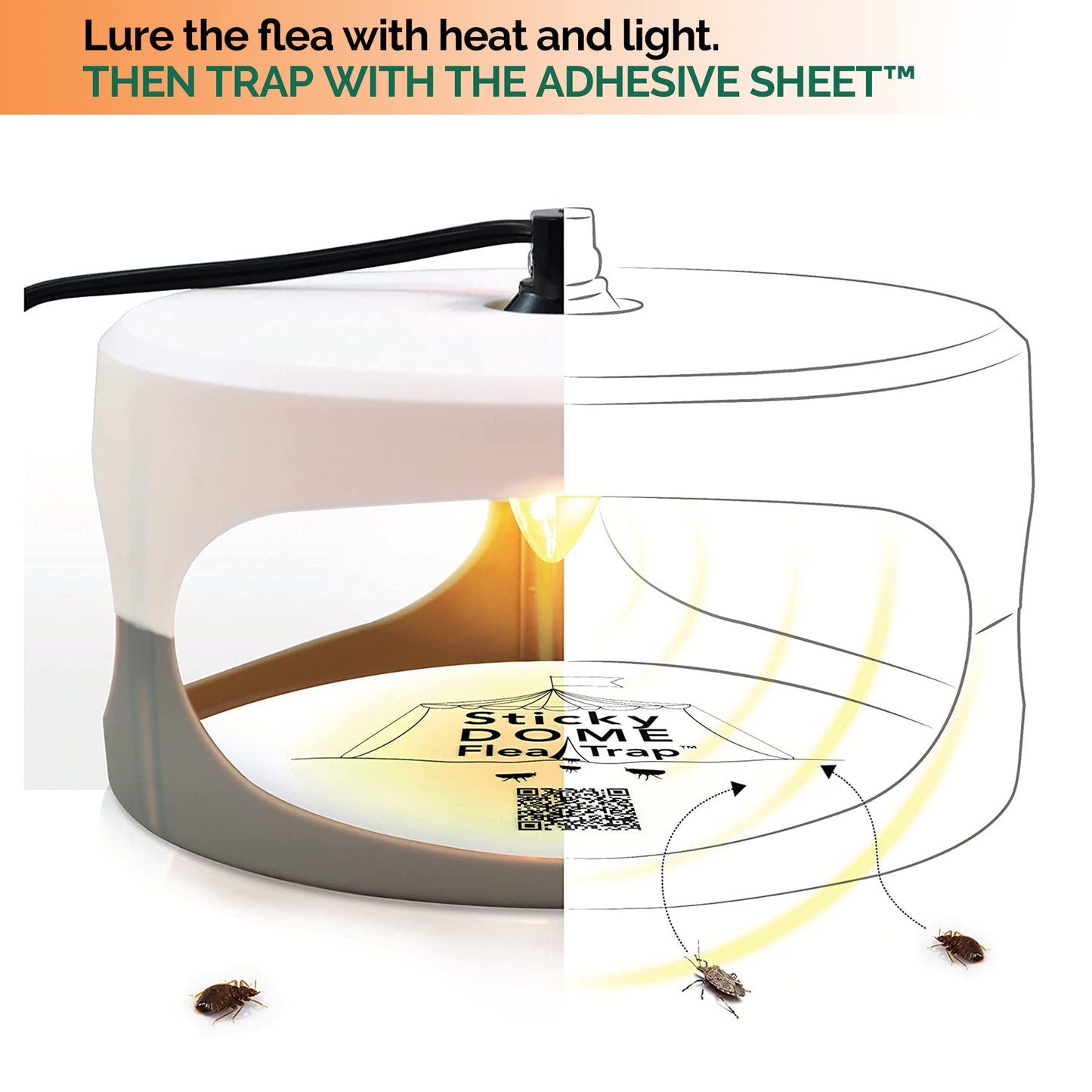 ASPECTEK Sticky Dome Flea Trap with 2 Sticky Discs. Odorless, Non-Toxic, Natural Insect Traps, Safe for Indoor Use, Children and Pets - 2 Pack (UK)