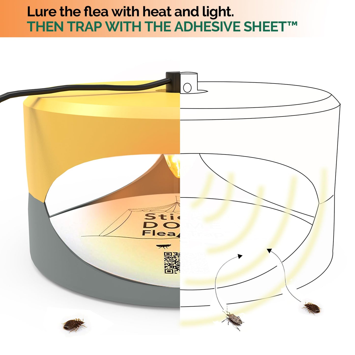 Orange and Light Gray Aspectek Sticky Dome Flea Trap with 2 Sticky Discs. Odorless Insect Traps, Effective for Indoor Use (EU)
