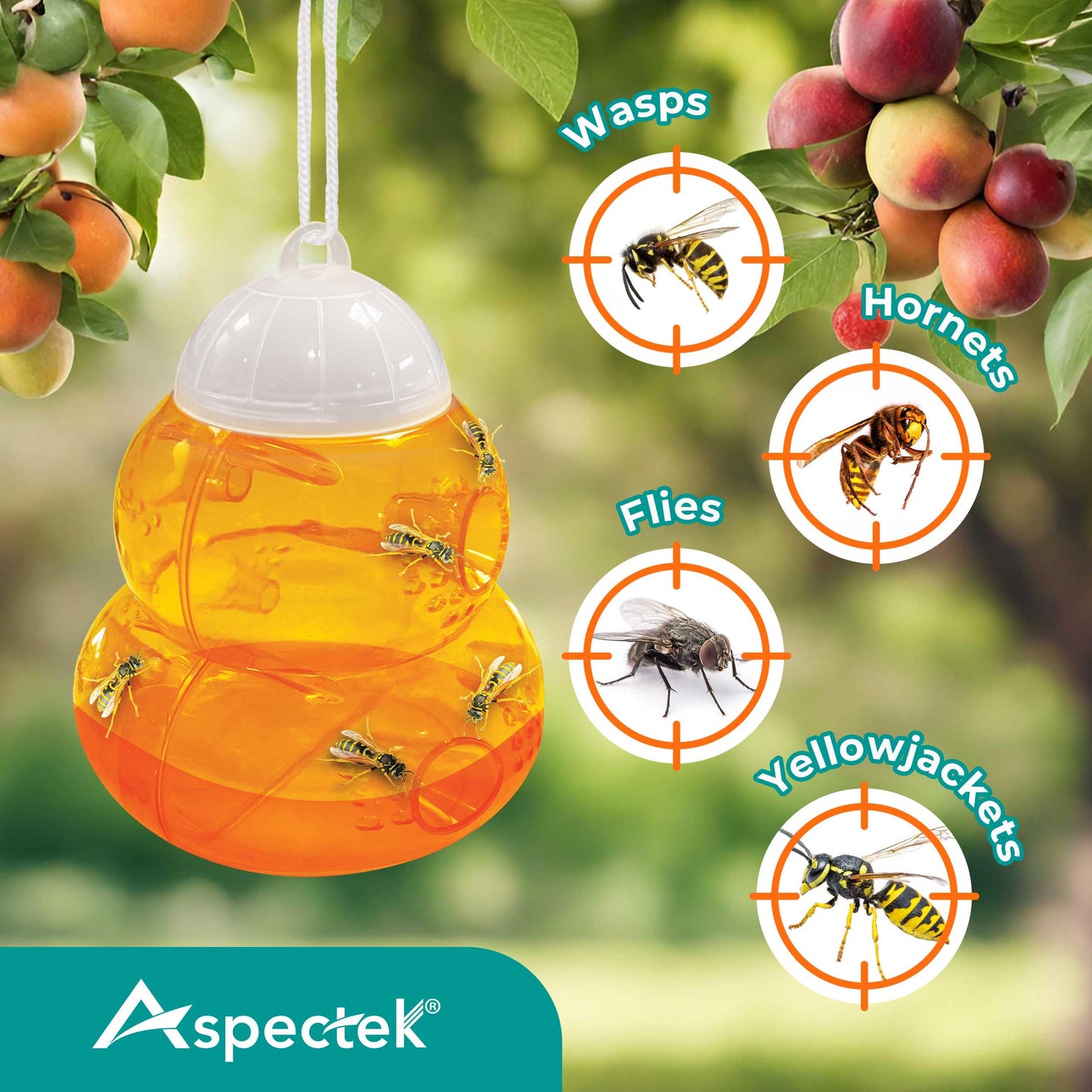 Wasp Trap 2 Pcs, Effective Bee and Wasp Nest Killer traps for Outdoor-Indoor, Yellow Jacket Traps, Bee trap, Hornet Trap, Lightweight Wasps Catcher, Hourglass-Shaped ASPECTEK Fly control (EU)