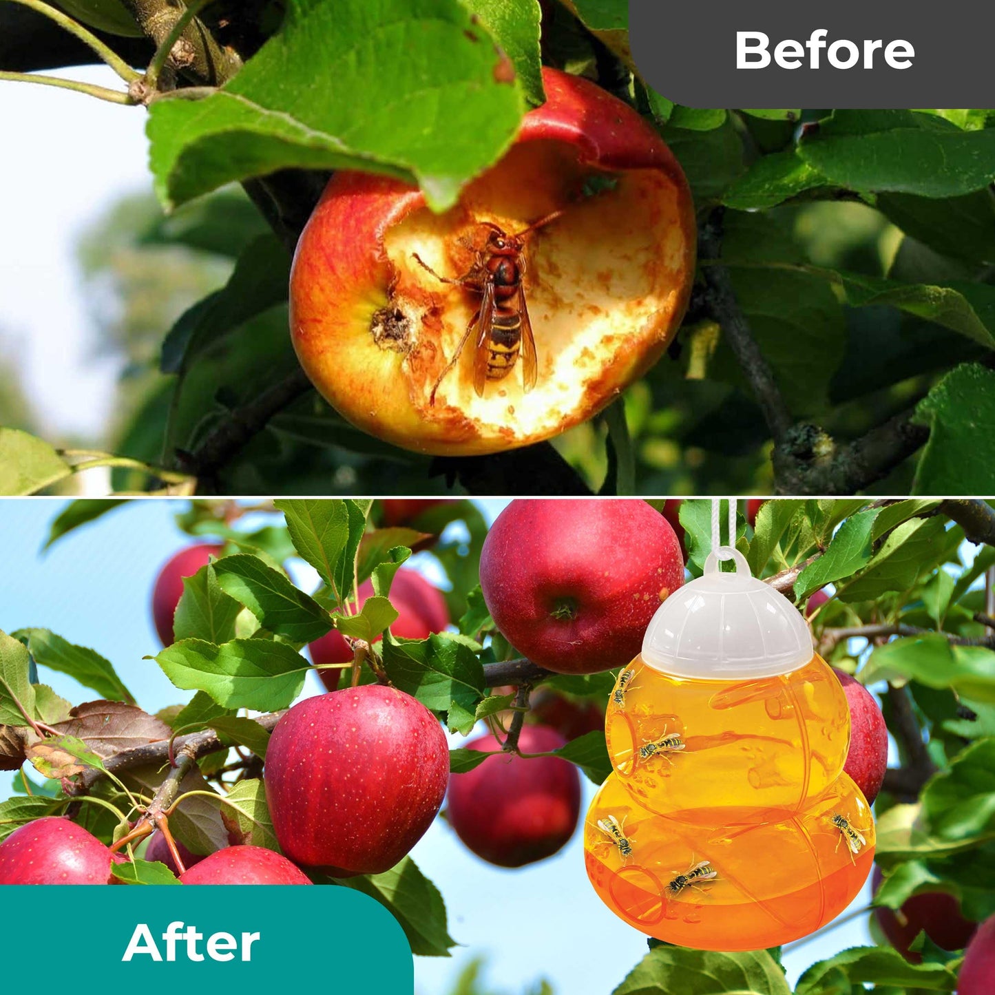 Wasp Trap 2 Pcs, Effective Bee and Wasp Nest Killer traps for Outdoor-Indoor, Yellow Jacket Traps, Bee trap, Hornet Trap, Lightweight Wasps Catcher, Hourglass-Shaped ASPECTEK Fly control (EU)