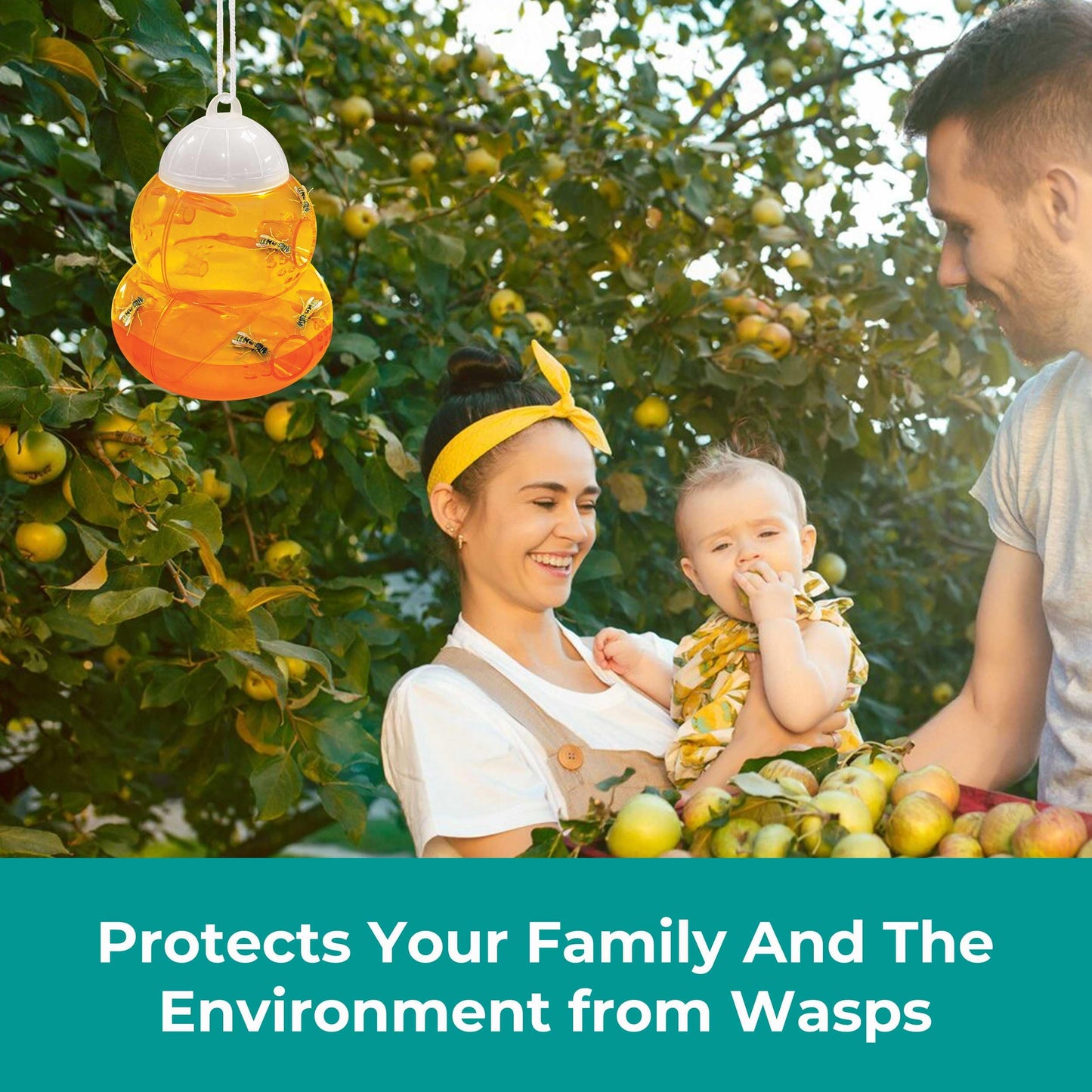 Wasp Trap 2 Pcs, Effective Bee and Wasp Nest Killer traps for Outdoor-Indoor, Yellow Jacket Traps, Bee trap, Hornet Trap, Lightweight Wasps Catcher, Hourglass-Shaped ASPECTEK Fly control (EU)