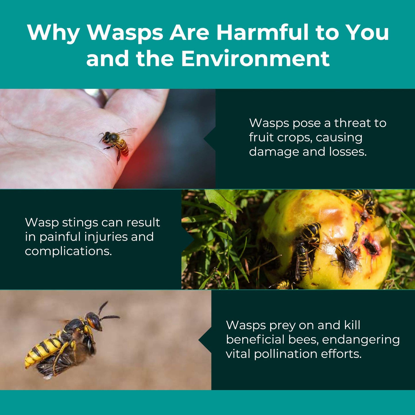 Wasp Trap 2 Pcs, Effective Bee and Wasp Nest Killer traps for Outdoor-Indoor, Yellow Jacket Traps, Bee trap, Hornet Trap, Lightweight Wasps Catcher, Hourglass-Shaped ASPECTEK Fly control (EU)