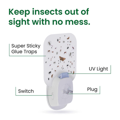 Aspectek Trap Sticky Insect Flying Insects Indoor Blue UV Light 12 Packs Glu Sticky Fly Catcher Night Home White Pack of 2 (EU)