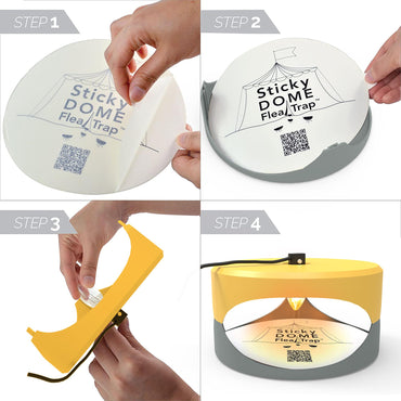 Orange and Light Gray Aspectek Sticky Dome Flea Trap with 2 Sticky Discs. Odorless Insect Traps, Effective for Indoor Use (EU)