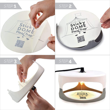 ASPECTEK Sticky Dome Flea Trap with 2 Sticky Discs. Odorless, Non-Toxic, Natural Insect Traps, Safe for Indoor Use, Children and Pets - 2 Pack (UK)