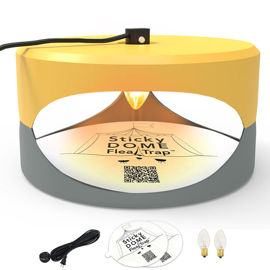 Orange and Light Gray Aspectek Sticky Dome Flea Trap with 2 Sticky Discs. Odorless Insect Traps, Effective for Indoor Use (EU)
