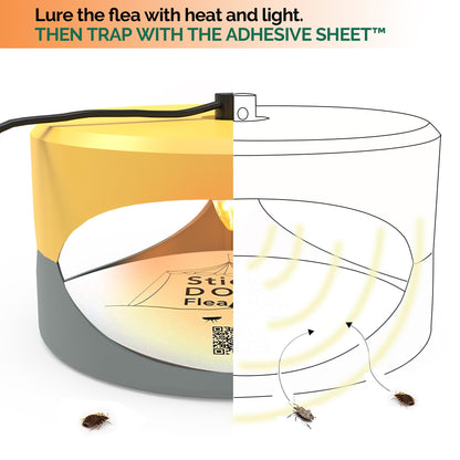 Orange and Light Gray Aspectek Sticky Dome Flea Trap with 2 Sticky Discs. Odorless Insect Traps, Effective for Indoor Use (EU)